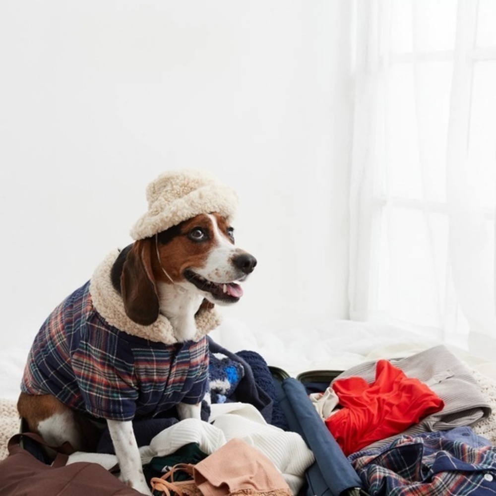 NWT Offleash by Aerie Black Sherpa Bucket Hat